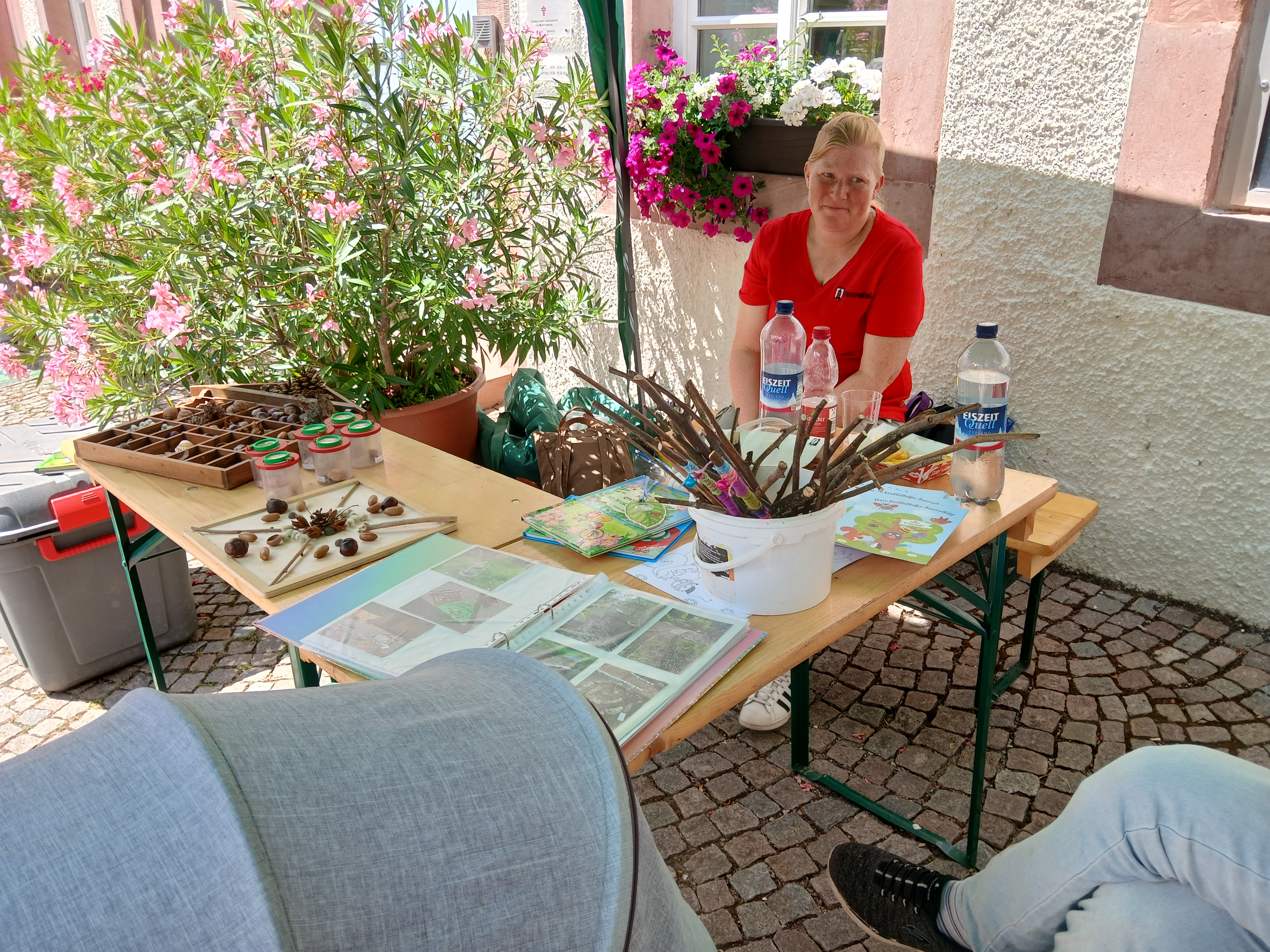 BILD